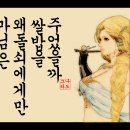 노비와 머슴의 차이 ~~ 이미지