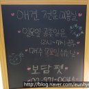 보담펫 이미지