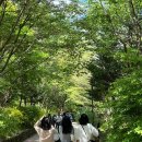 놀랍지만 5월…