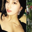 대박 태권도장 이미지