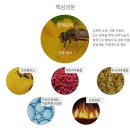 위너마켓 이미지