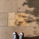 돌산가축 이미지