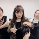 스타미용학원 이미지