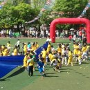 성남중앙초등학교 이미지