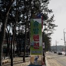 장경리펜션민박 이미지