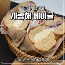 마산회원구 ⓓ-1 | 마산 내서읍 카페 사랑해베이글 내서점 살면서 먹은 베이글 중 원탑!!