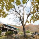 거창읍-6 이미지