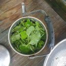 태림시술원 이미지