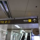 용천 | 가락시장 킹크랩 시세 식감 용천수산 생생 후기