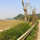 사기소1통마을회관 이미지