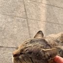 금촌프라자약국 이미지