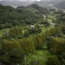 풍계리마을회관 이미지