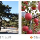 장원침장