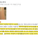 필라테스요가 | [공지] 요가하라(호계점, 범계역점) 11월 시간표 및 공지사항 │범계역요가 과천필라테스