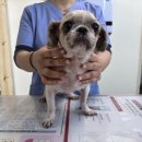 모악산주유소 이미지