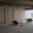 코코치과의원 이미지