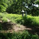 동래정씨 약사불 이미지