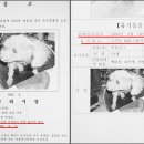 꿀꺽 - 동구 동서대로1695번길 73 | 꿀꺽