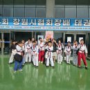 국가대표 태권도 금메달도장 | 🏆 금메달 13개?! 진해 MTA, 창원시 태권도 협회장배 대회 완전 정복🔥