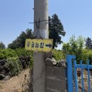 꽃귤농장