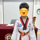 용인대 강한태권도장 이미지