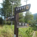 화진포생태박물관 이미지