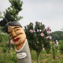 동산자원 이미지