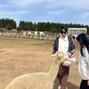 호진목장 이미지