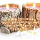 結婚을 祝賀 합니다.(장 세 양 의 장남 정 의 ) 이미지