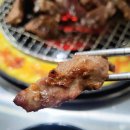 마포갈매기 이미지