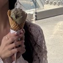 다팜몰 | 두바이 1일차(래플스 두바이/팜 주메이라/에미레이트몰/사막 투어)