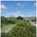 보랏빛민박 이미지