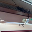 인천영흥고등학교 이미지