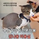 김냐옹 미용실 이미지