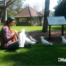 한솔기획 이미지