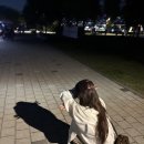 나만고양이없어 이미지