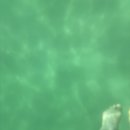 공천포 포구 이미지