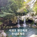 돈내코 이미지