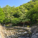 돌고래오토캠핑장2 | 대구 진밭골 야영장, 오토캠핑장 카라반 후기｜1박 2일 가족캠핑 꿀팁 총정리