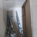 상아동물메디컬