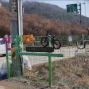 세종정희어린이집 | 알톤 키즈스페셜 아동자전거 직접 구매한 후기~