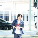 멍뭉 이미지