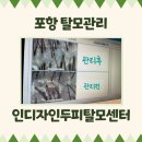 레드페이스경주점 | 포항탈모관리/경주탈모관리 인디자인두피탈모에서 미리 관리해요