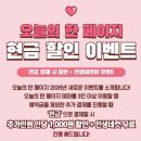 페이지26-9 | 스릴러를 가장한 공포 방탈출 강남 오늘의 한 페이지 '버디' 후기/정보(스포없음, 꽃밭길 추천)