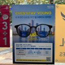 21C안경콘택트 네이버블로그