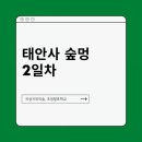 숲멍 네이버블로그