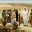 전삼용 요셉 신부 / 2021,11,20 연중 제33주간 토요일 - 죽음과 부활에 대한 믿음 없이 성장할 수 없다. 이미지