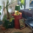 도수상사 이미지