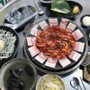 신스쭈꾸미 이미지