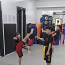 선후합기도 체육관 이미지